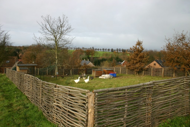 [KEY1] [KEY2] [KEY3] [KEY4]