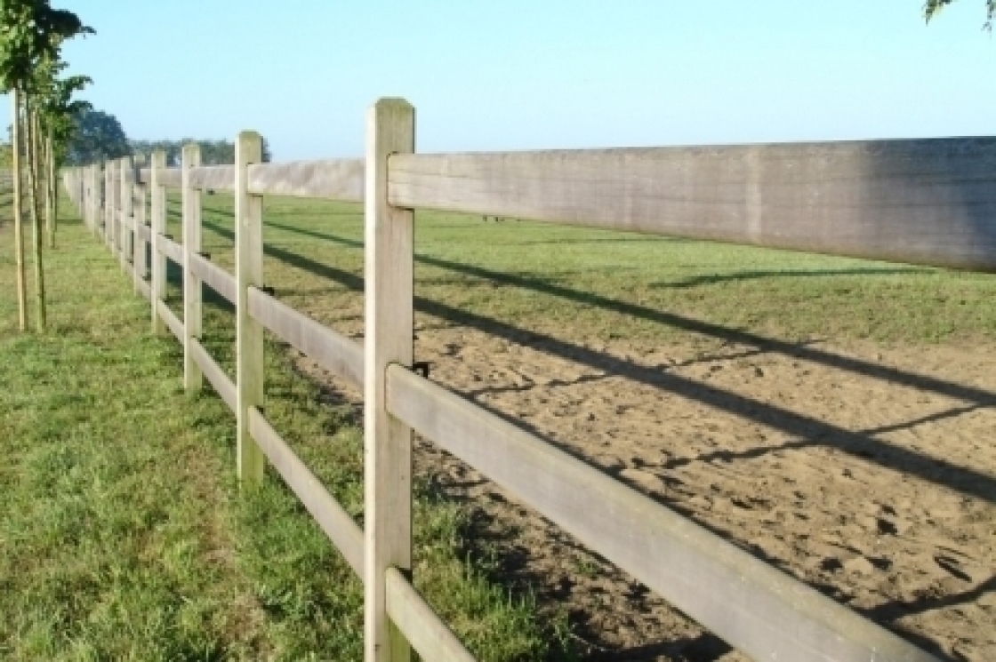 Een houten paardenomheining met boompjes.
